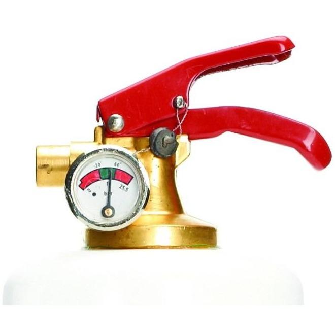 Stylish Goldfish fire extinguisher designed to enhance home decor.