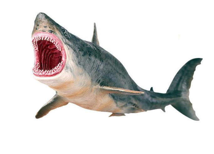 High Quality Megalodon Prehistoric Shark Model Figure Toy, showcasing realistic details and designed to float on water.