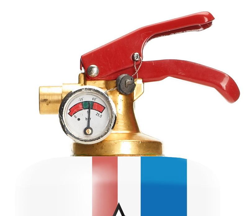 Stylish Safe-T LOVE BUG fire extinguisher inspired by the 1963 beetle, showcasing its elegant design and compact size.