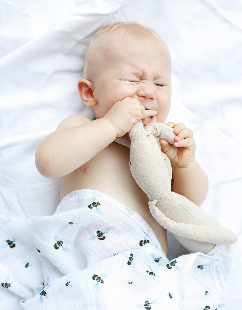 Organic Swaddle - Bee made from soft GOTS certified cotton, featuring a bee pattern, perfect for swaddling babies.