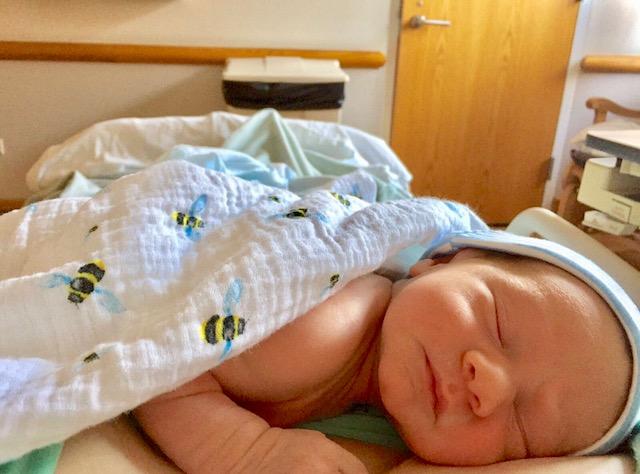 Organic Swaddle - Bee made from soft GOTS certified cotton, featuring a bee pattern, perfect for swaddling babies.