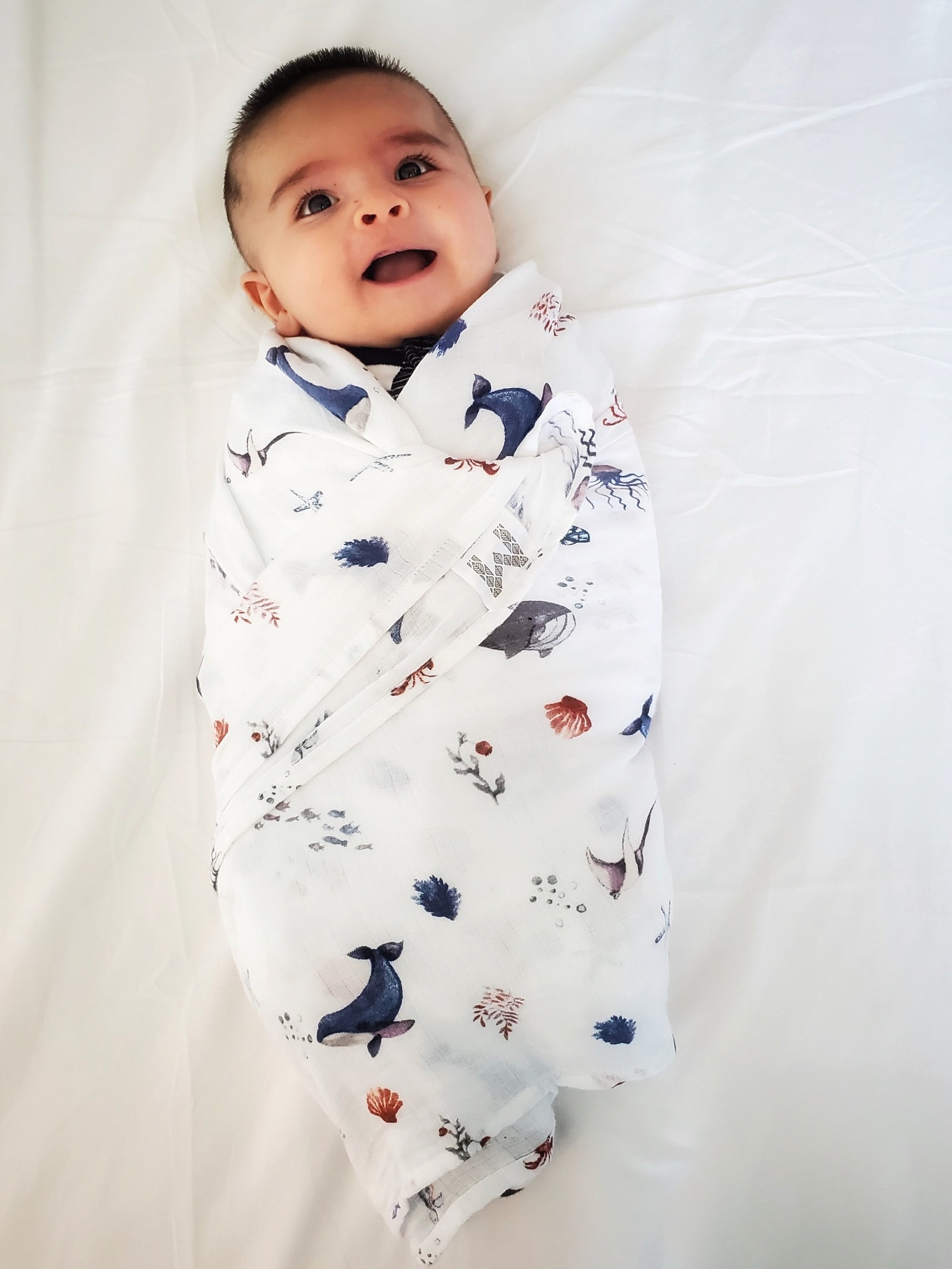 Organic Swaddle featuring an Under the Sea design with sea creatures, made from soft GOTS certified organic cotton.