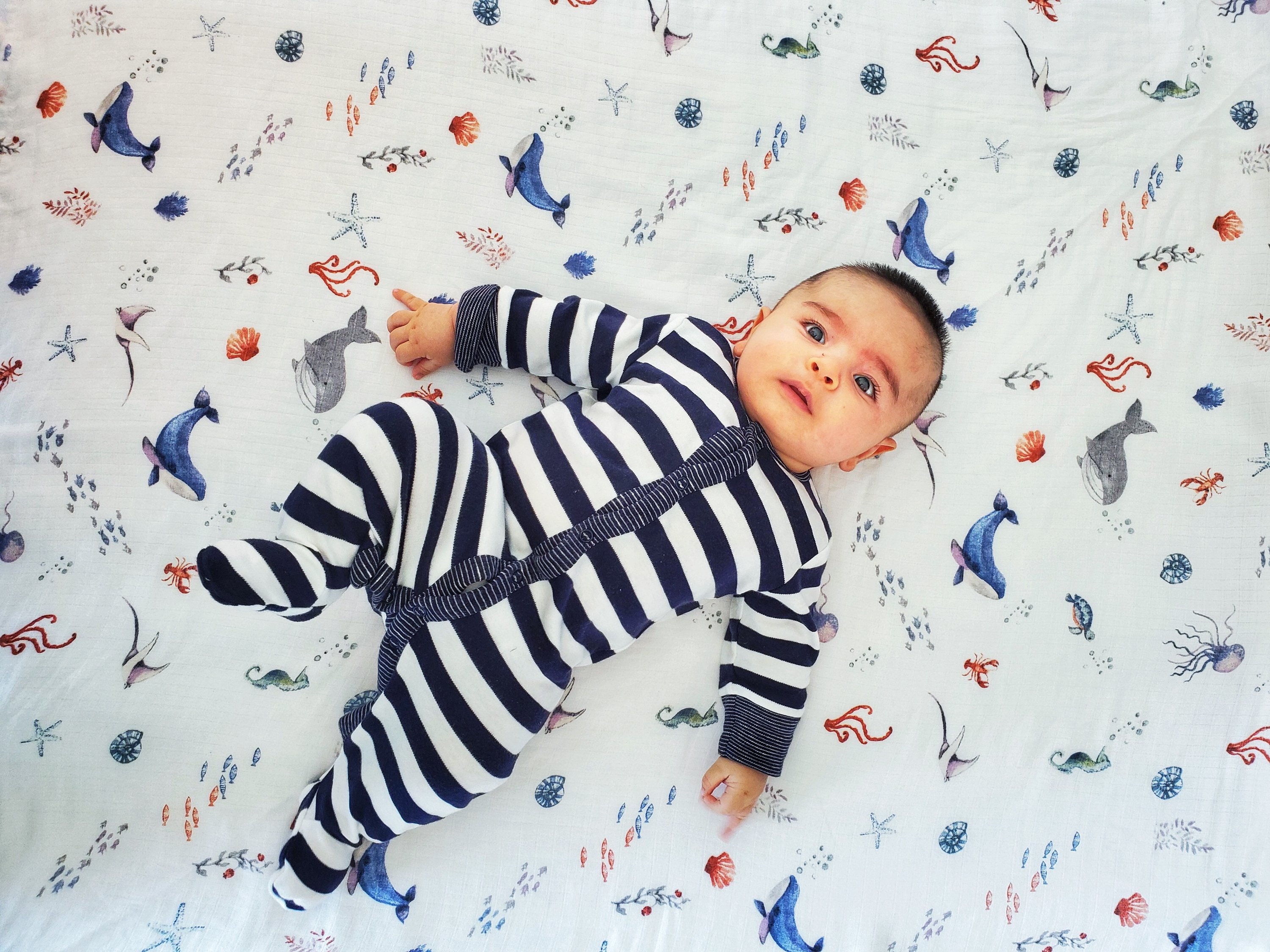 Organic Swaddle featuring an Under the Sea design with sea creatures, made from soft GOTS certified organic cotton.