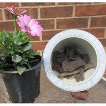 PacaBoost Alpaca Felt House Plant Root Growth Enhancer in a 1-pound bag, showcasing its natural fibers and packaging.