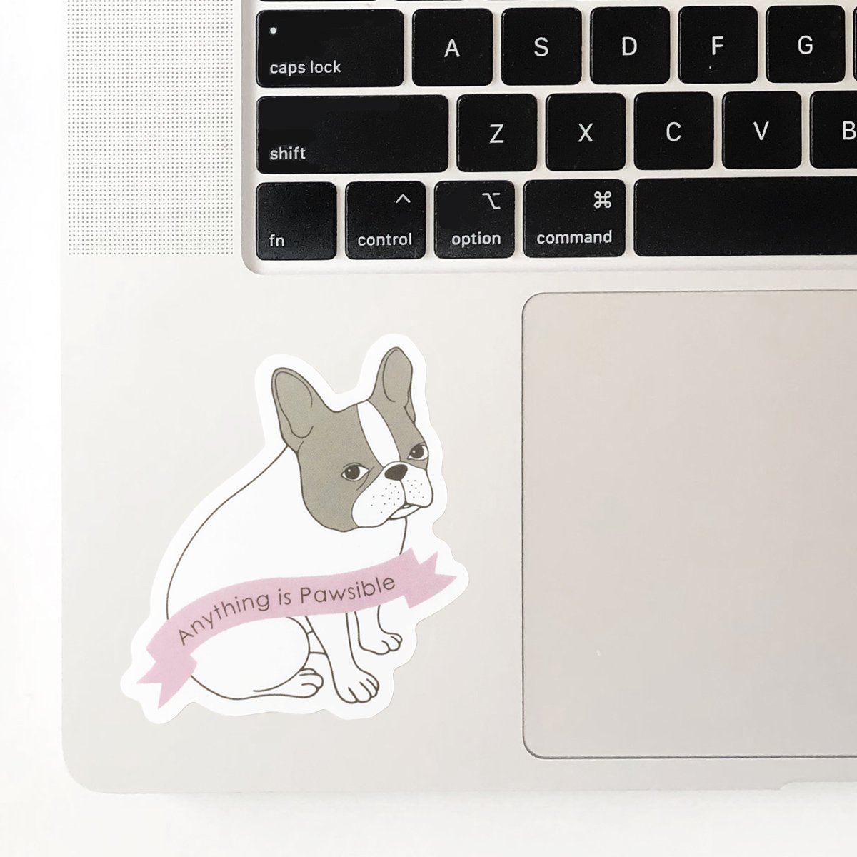 Pied Frenchie waterproof sticker featuring an adorable French bulldog design, perfect for personalizing smooth surfaces.