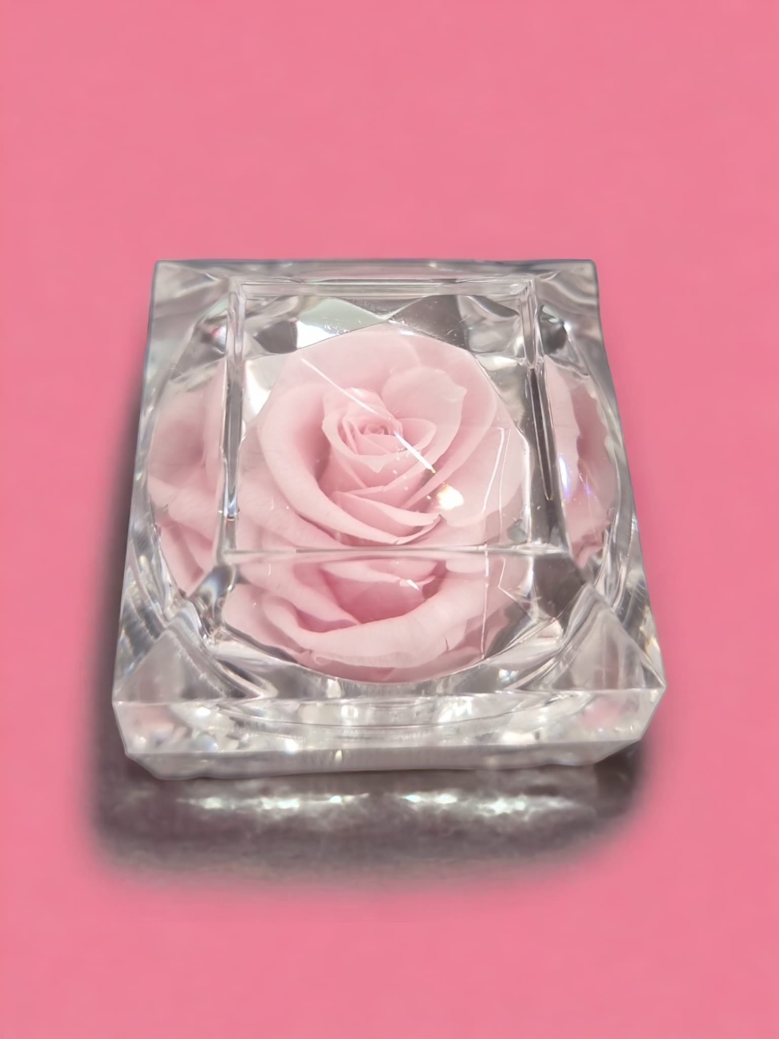 A beautifully preserved pink rose displayed in a clear glass acrylic box, symbolizing love and elegance.