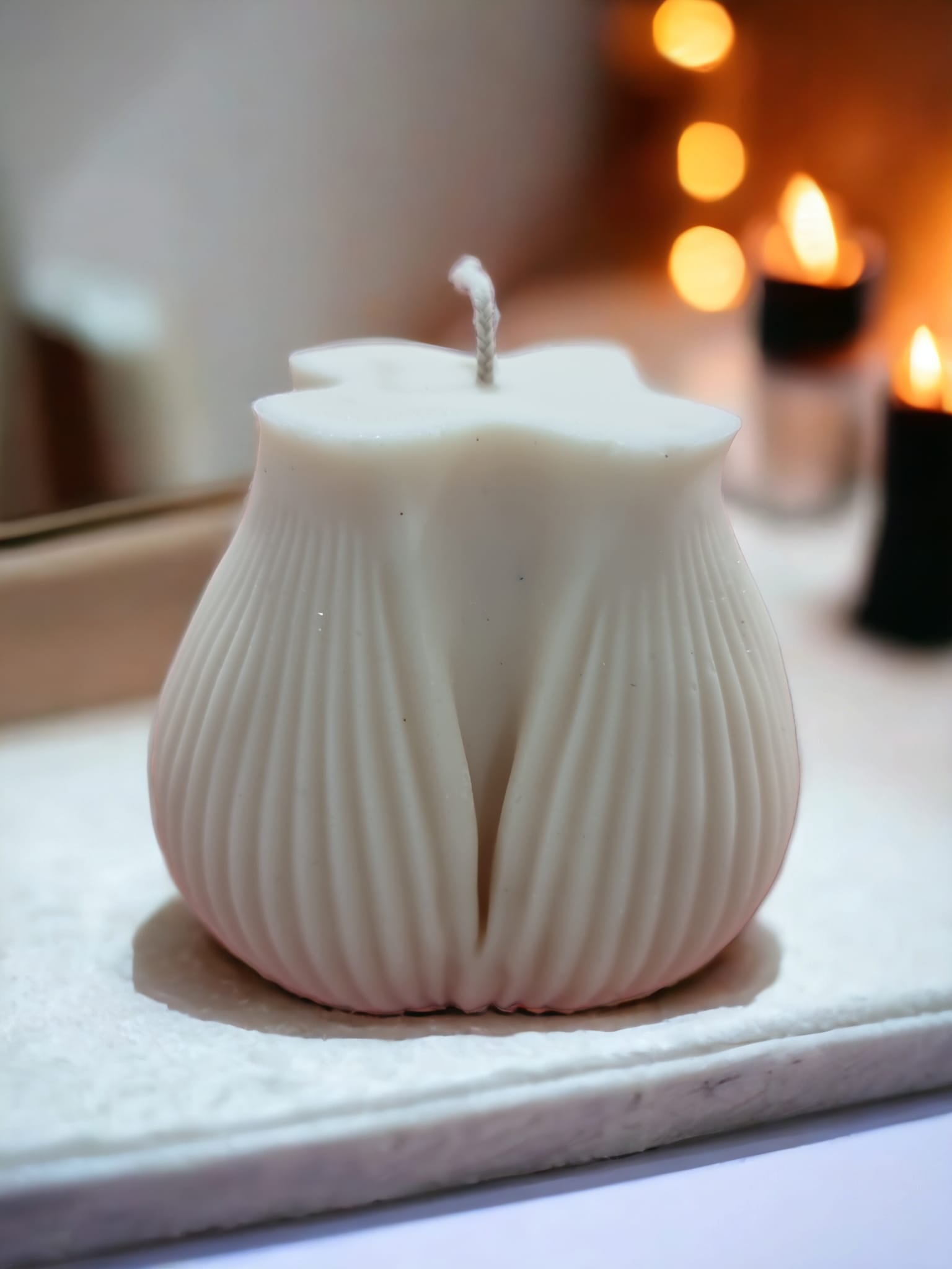 A luxurious Velvet Vanilla Rose Scent Candle featuring a rich vanilla and rose fragrance, elegantly designed for home decor.