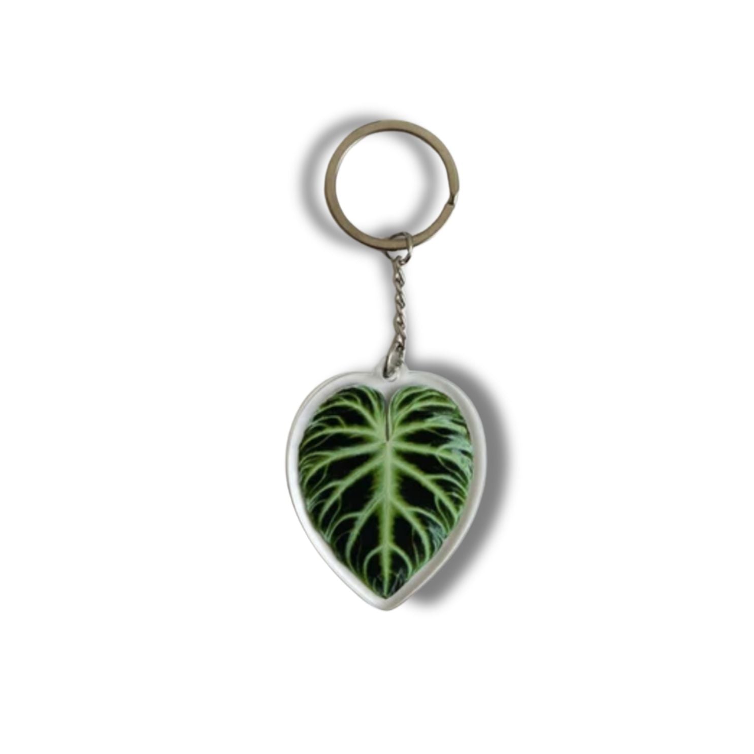 A collection of seven illustrated leaf acrylic keychains displayed on a clear background, showcasing vibrant colors and double-sided designs.
