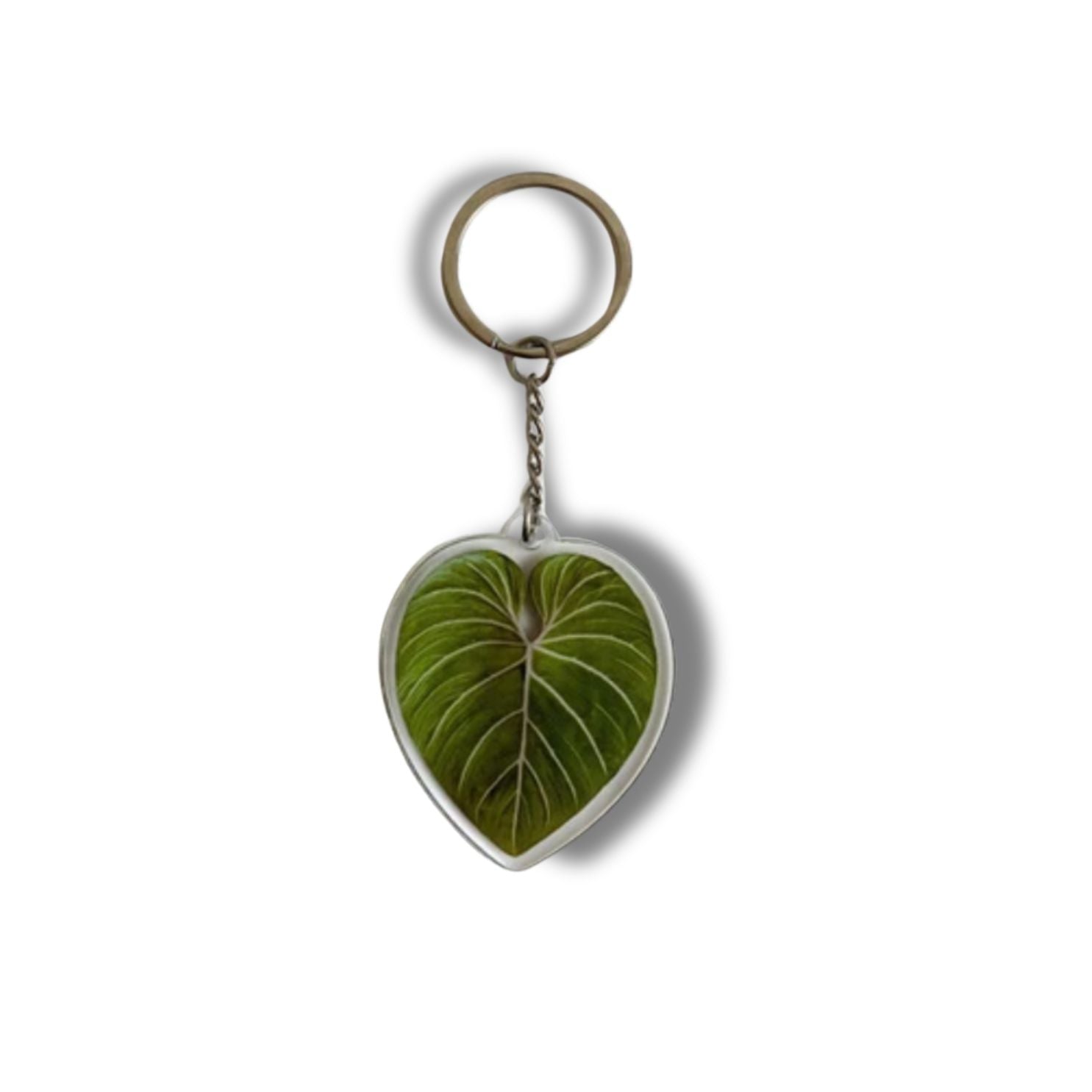A collection of seven illustrated leaf acrylic keychains displayed on a clear background, showcasing vibrant colors and double-sided designs.