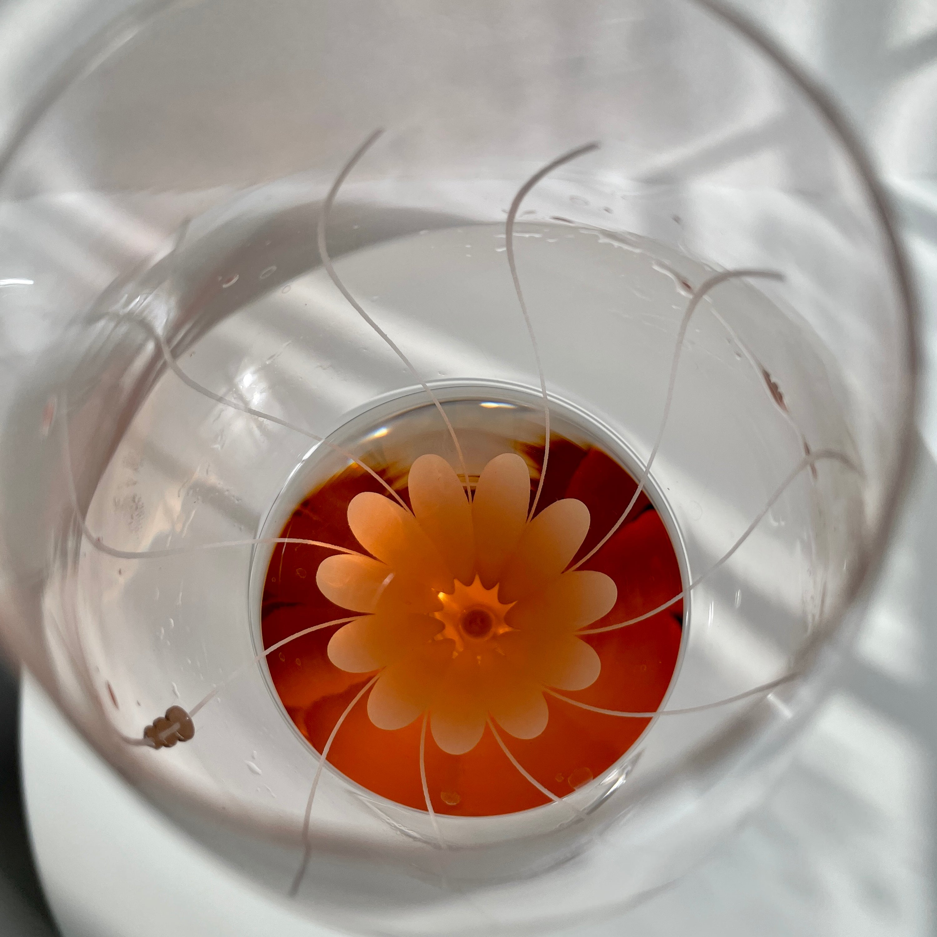 Set of two elegant Lotus Rosé Champagne glasses with a beautiful flower design and Swarovski crystals, presented in a gift box.