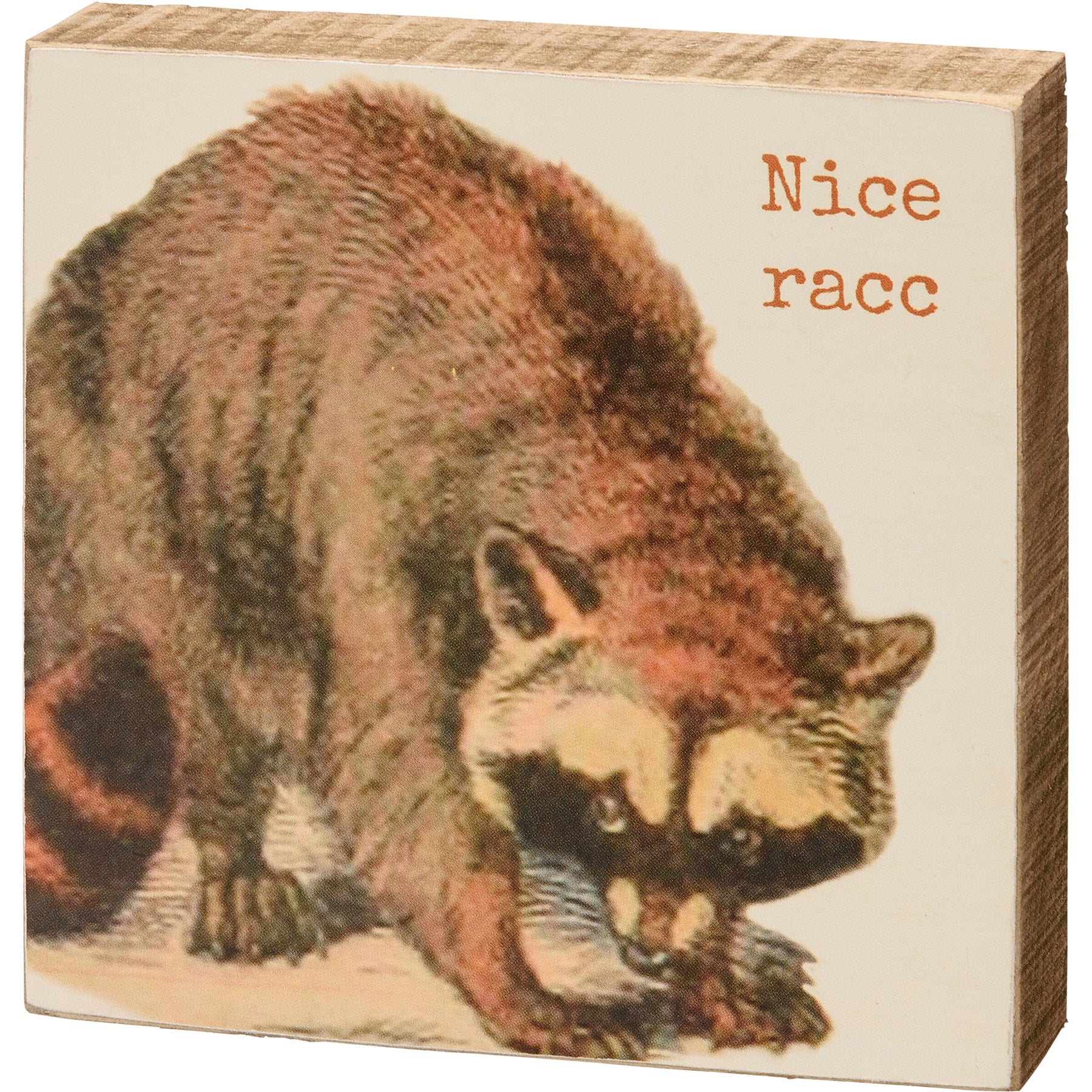 Nice Racc Wooden Block Sign featuring a playful raccoon design and punny sentiment, crafted from natural wood.