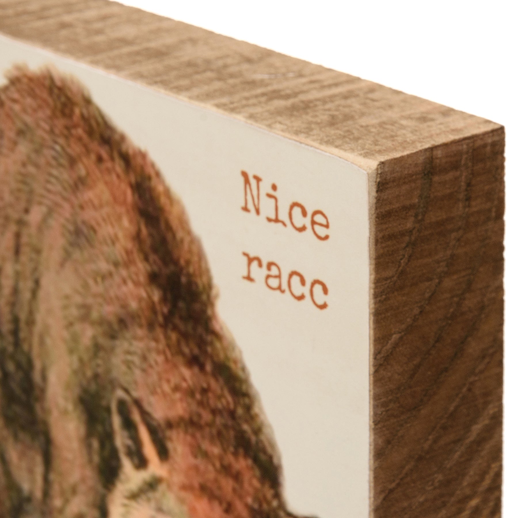 Nice Racc Wooden Block Sign featuring a playful raccoon design and punny sentiment, crafted from natural wood.