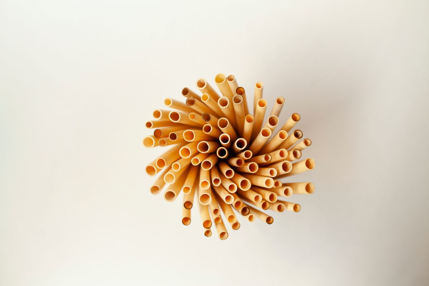 A bundle of large reed straws, showcasing their natural beige color and eco-friendly design, ideal for smoothies and beverages.