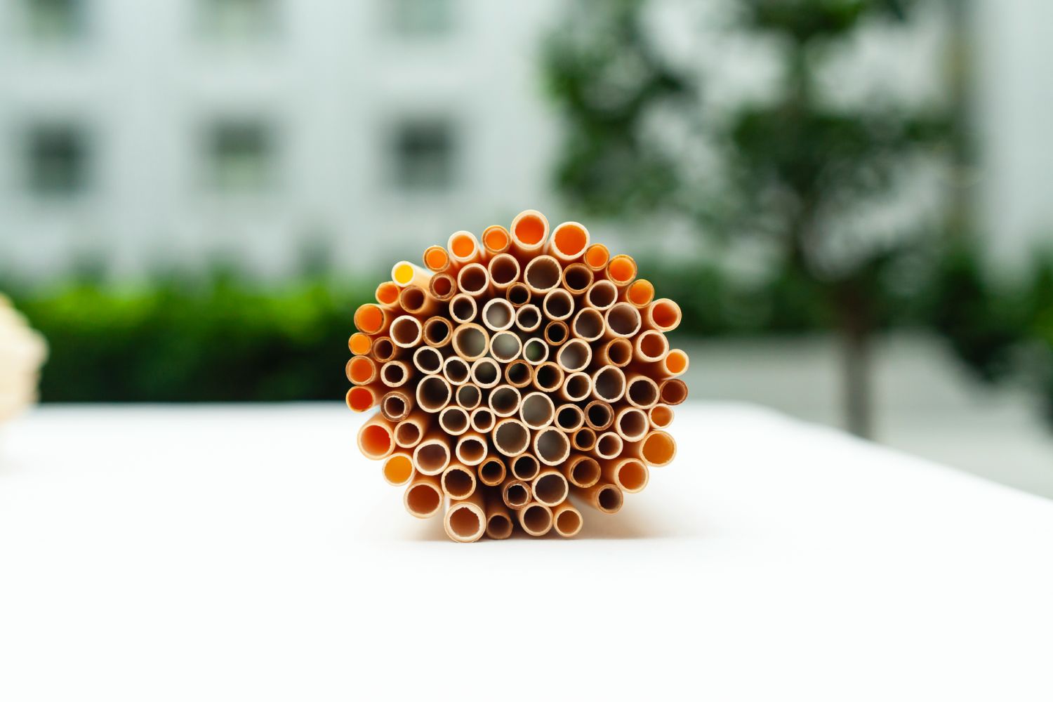 A bundle of large reed straws, showcasing their natural beige color and eco-friendly design, ideal for smoothies and beverages.