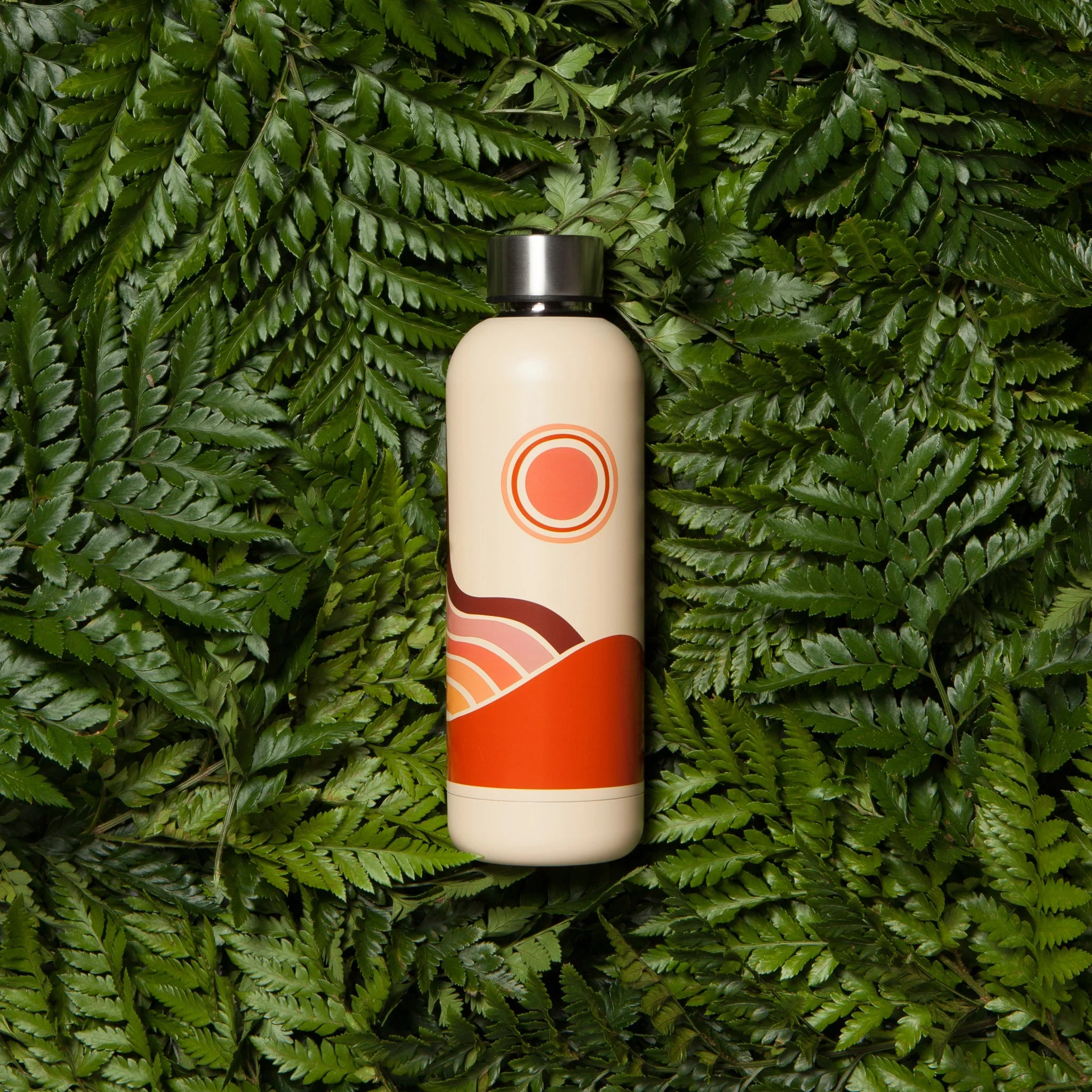 Solstice Hydration Stainless Steel Water Bottle with botanical design in a gift tube, showcasing abstract blossoms and delicate leaves.