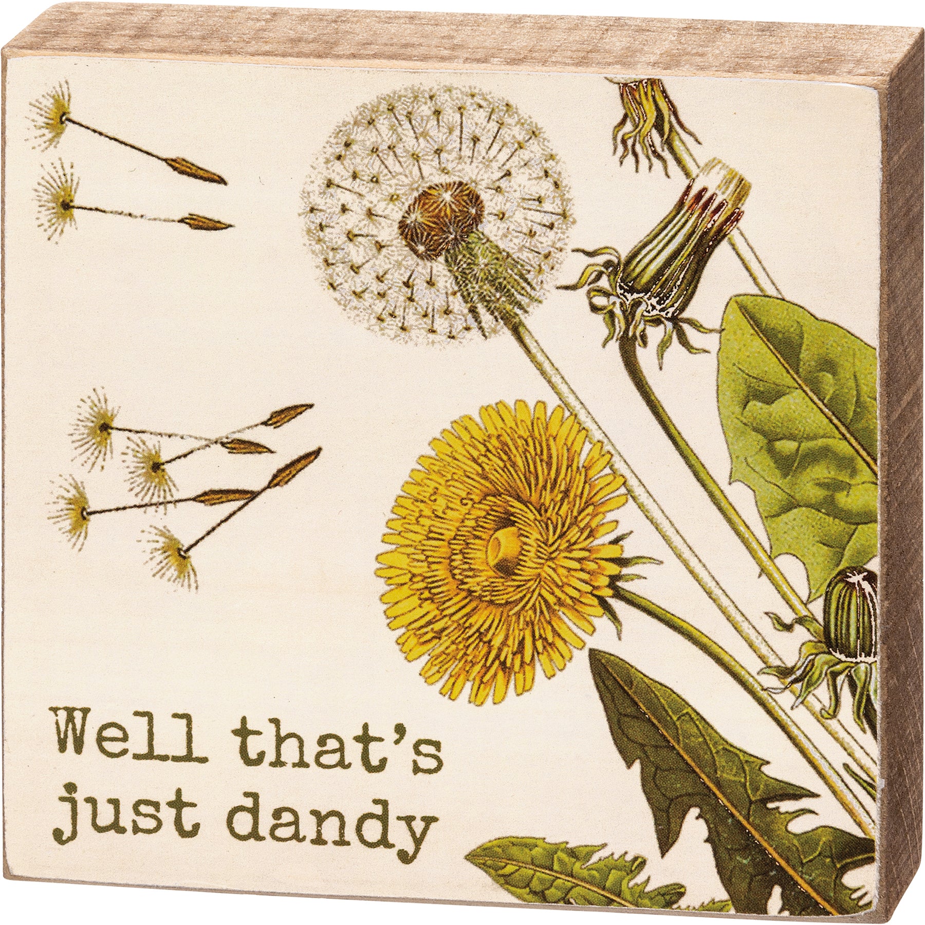Well That's Just Dandy Dandelion Wooden Block Sign, 4-inch square with dandelion designs and natural wood sides.