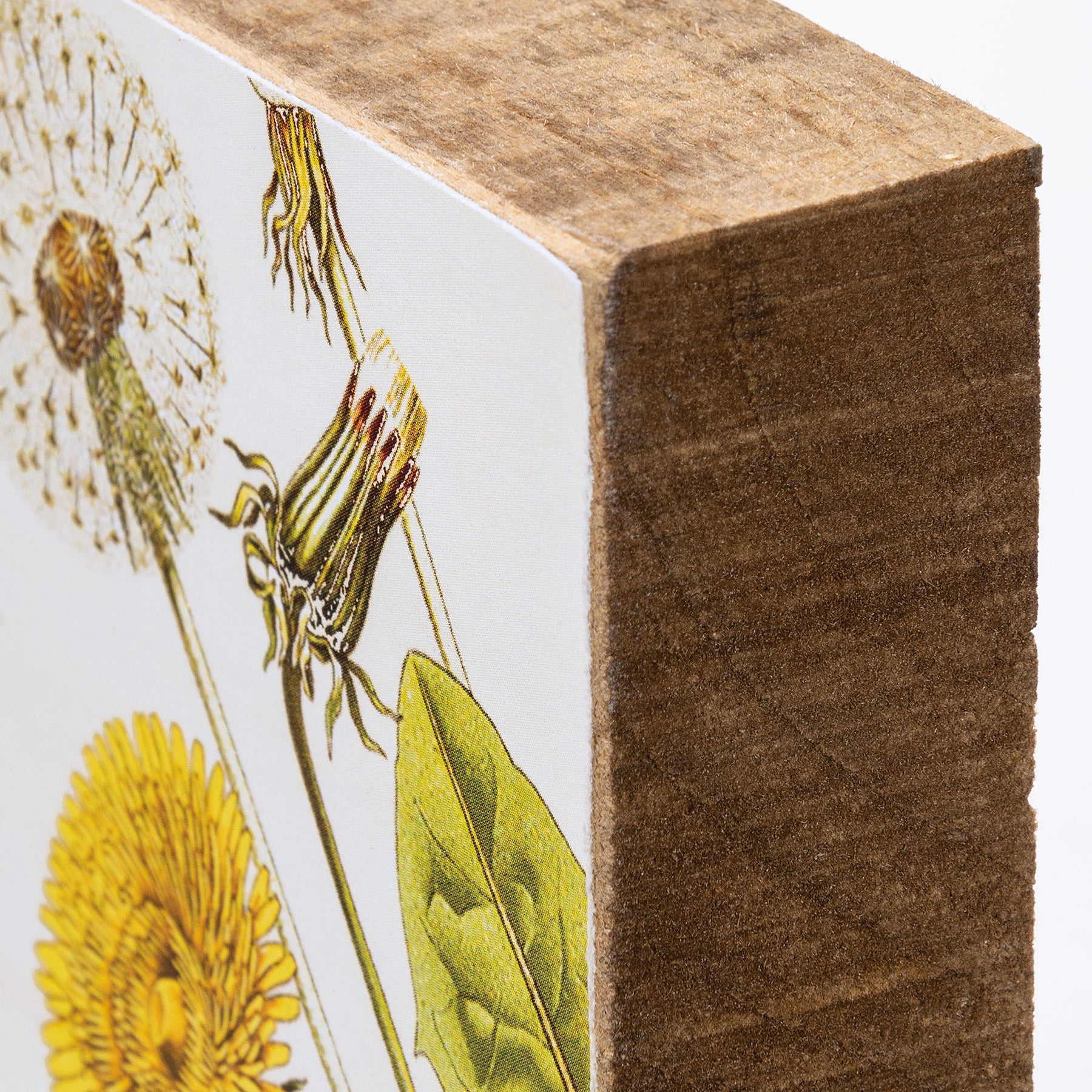 Well That's Just Dandy Dandelion Wooden Block Sign, 4-inch square with dandelion designs and natural wood sides.