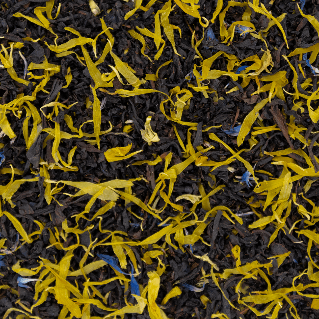 Une tasse de thé noir Earl Grey pamplemousse citron, entourée de fruits frais et de fleurs colorées, évoquant une expérience gustative unique.