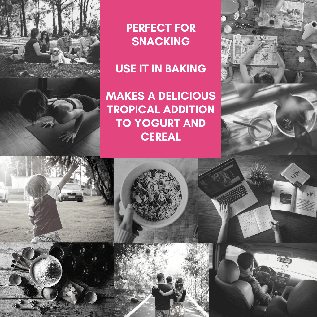 A box of Organic Toasted Coconut Chips with individual 30g bags, showcasing thick cut, crunchy coconut chips.