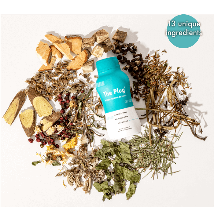 A refreshing Plant-Based Sports Drink by The Plug Drink, showcasing its natural ingredients and vibrant packaging.