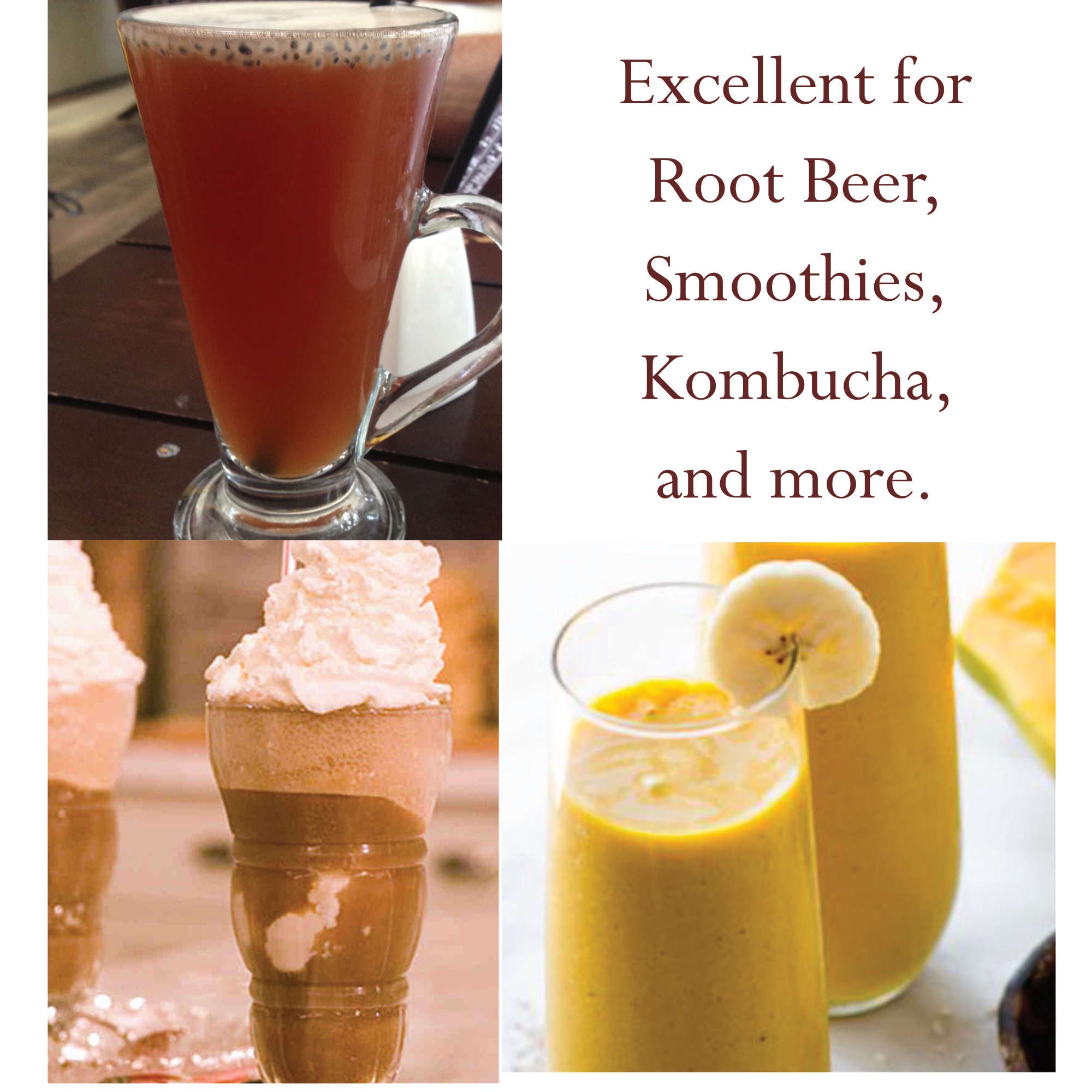 A 1-pound package of Organic Sarsaparilla Root Powder from India, showcasing its fine texture and rich color, ideal for gourmet cooking and brewing.