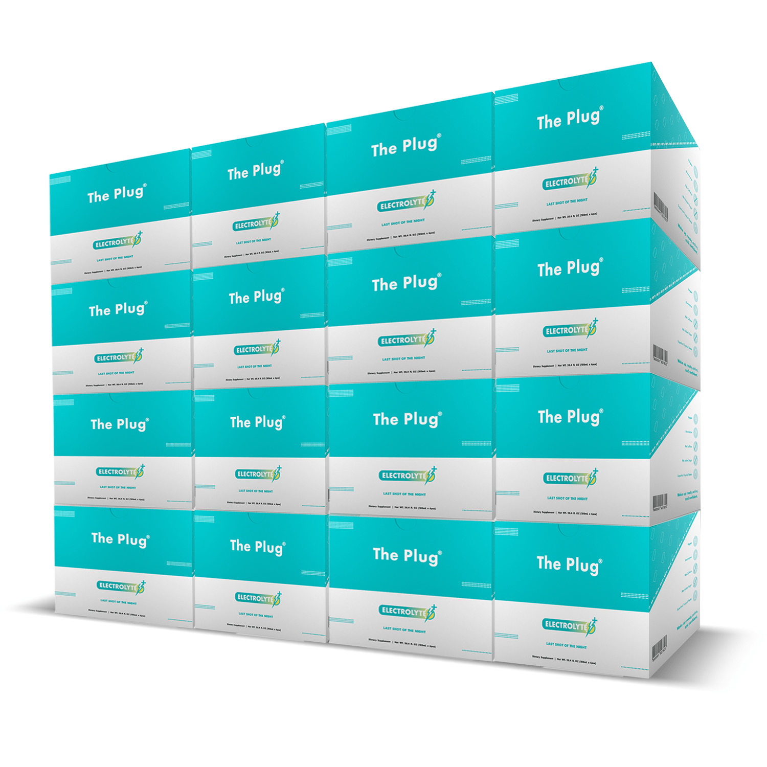 A refreshing bottle of The Plug Drink showcasing its vibrant plant-based ingredients and pure bedrock water.