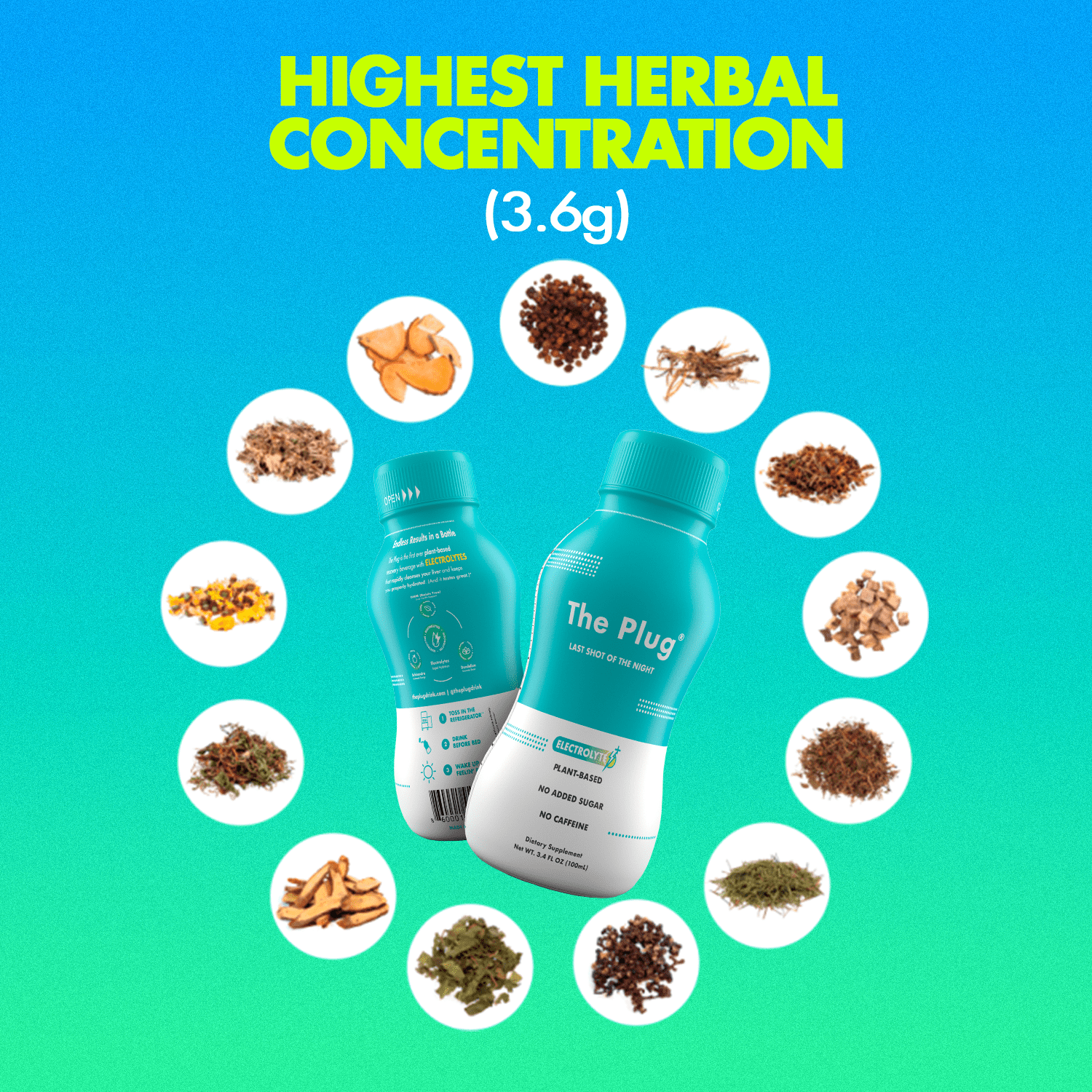 A refreshing bottle of The Plug Drink showcasing its vibrant plant-based ingredients and pure bedrock water.