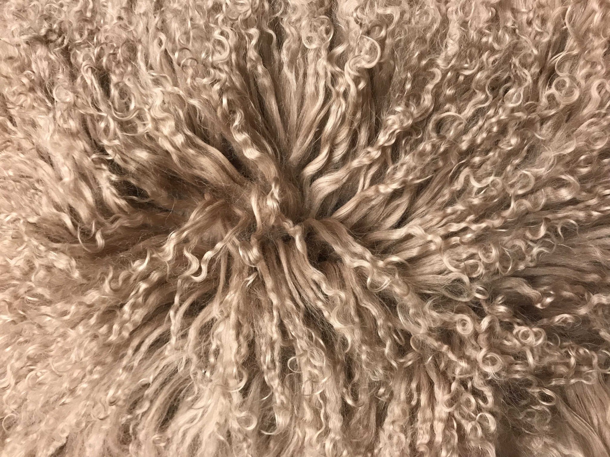 20-inch beige genuine Tibetan lamb fur pillow with microsuede backing, showcasing its luxurious texture and elegant design.