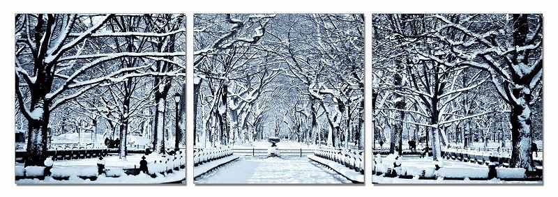 A stunning 24-inch multicolor canvas artwork featuring three horizontal panels depicting winter trees, perfect for contemporary home decor.