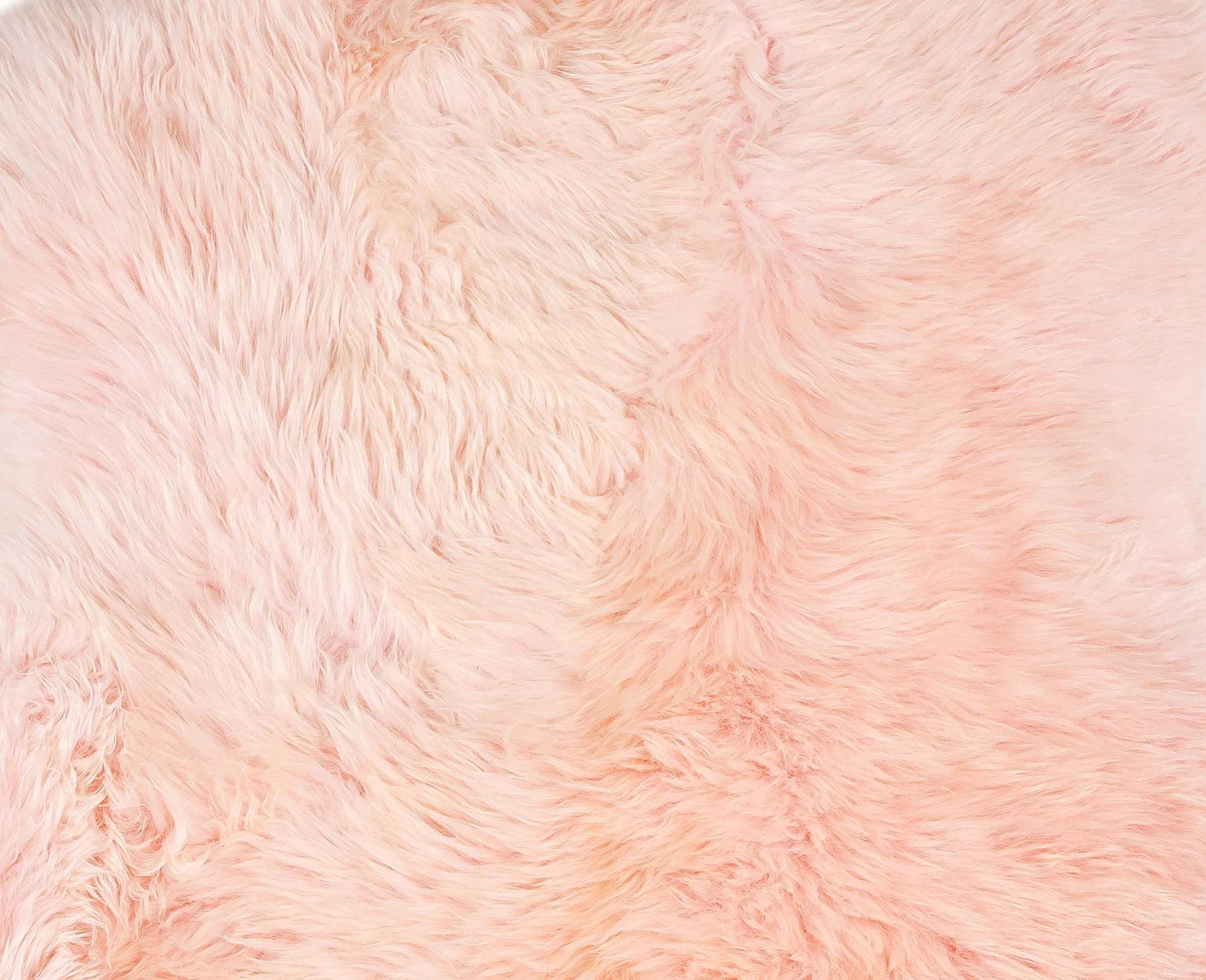A luxurious 2x3 inches Rose New Zealand Natural Shearling Sheepskin Rug showcasing its soft texture and rich pink color, perfect for home decor.