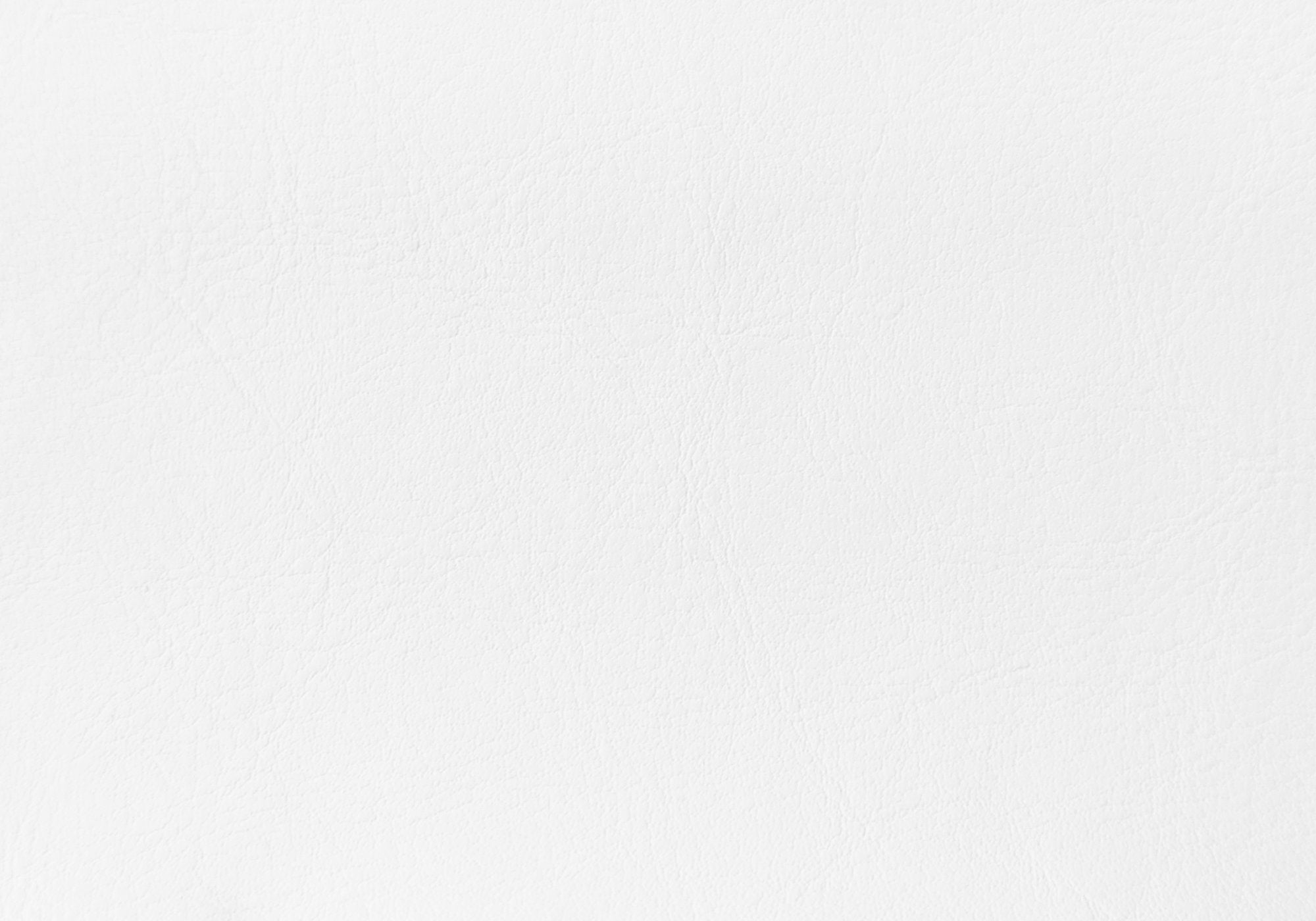 A stylish 45.75-inch white solid wood queen size bed with leather look upholstery and high-grade foam mattress, perfect for contemporary bedrooms.