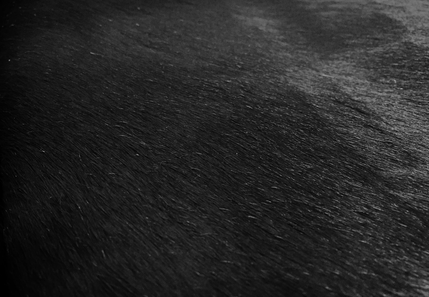 A luxurious 6 Ft Natural Black Brindled Cowhide Rug showcasing a unique brindled pattern, perfect for enhancing home decor.