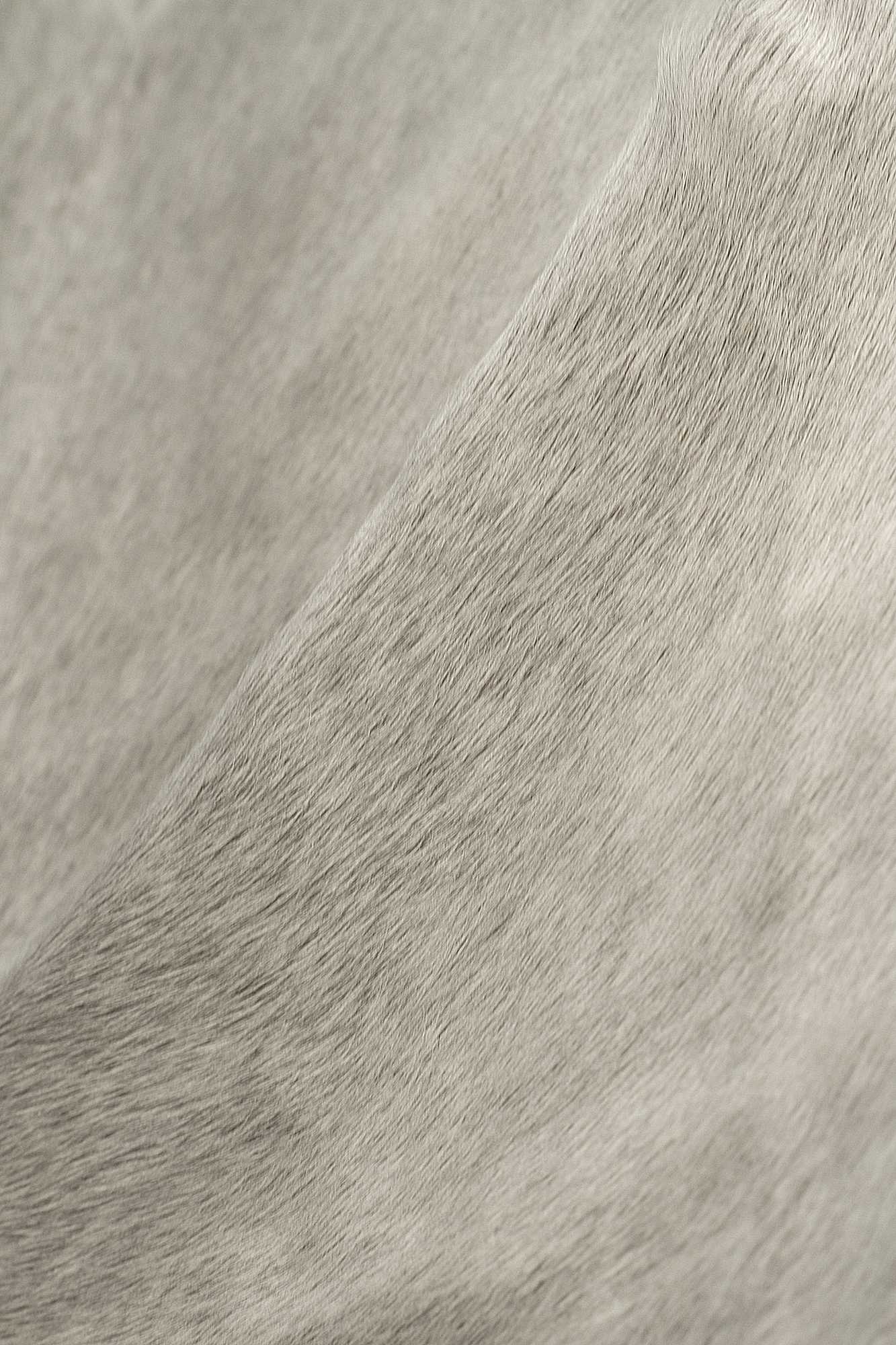 Handmade black and white cowhide area rug measuring 60x84 inches, showcasing a luxurious texture and unique patterns.