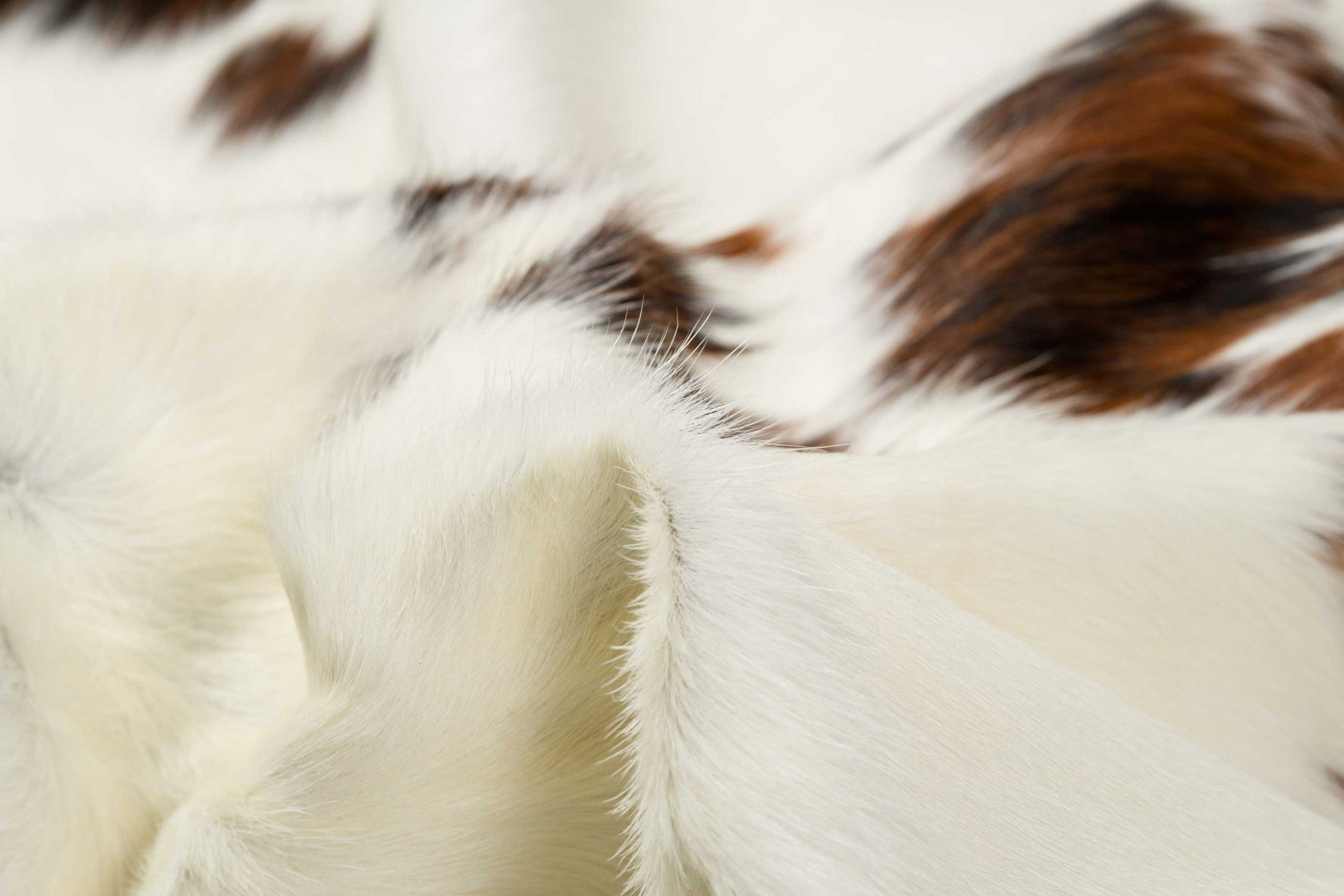 Handmade black and white cowhide area rug measuring 60x84 inches, showcasing a luxurious texture and unique patterns.