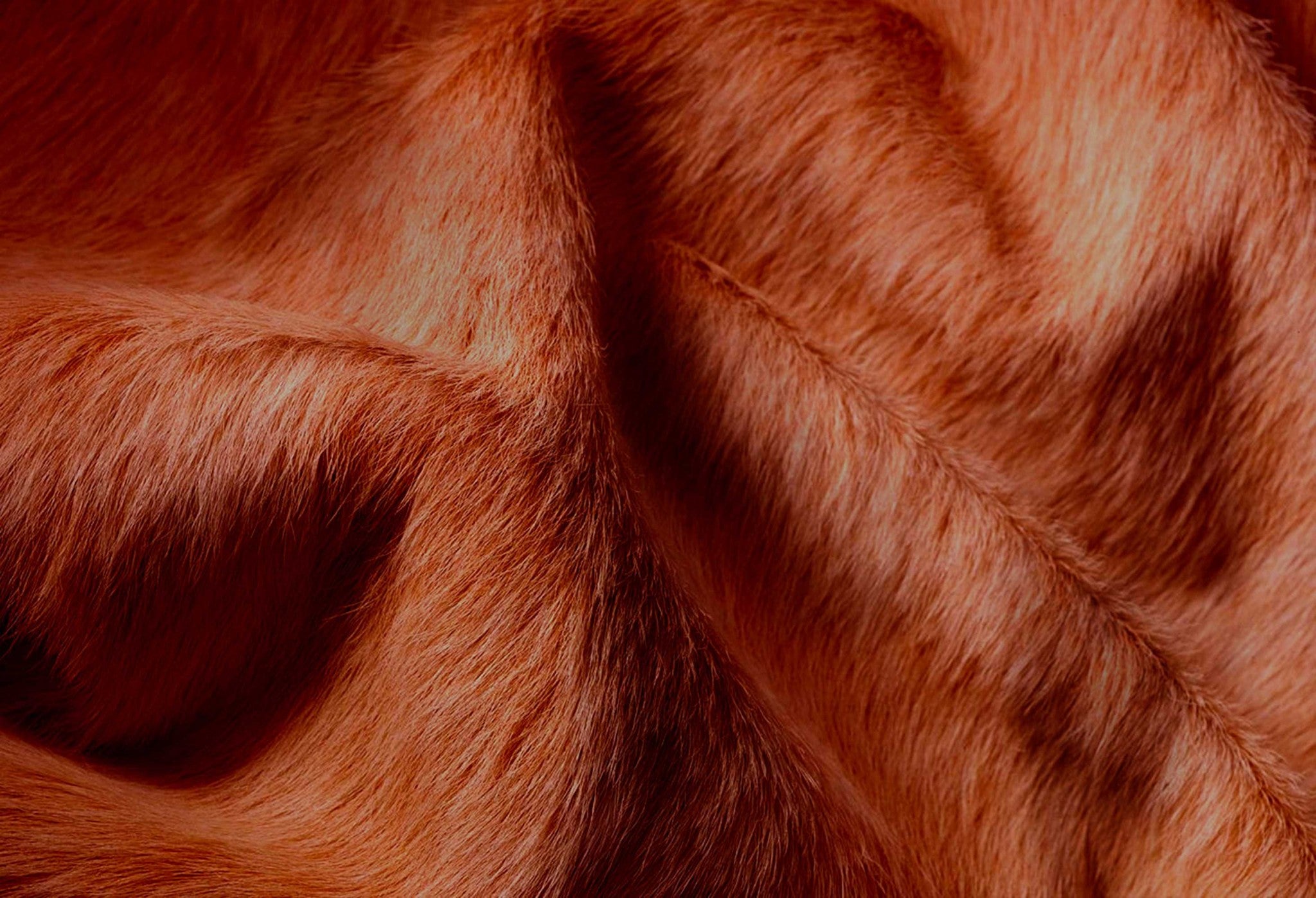 Luxurious 72x84 inches brown cowhide rug showcasing rich texture and color, perfect for modern home decor.