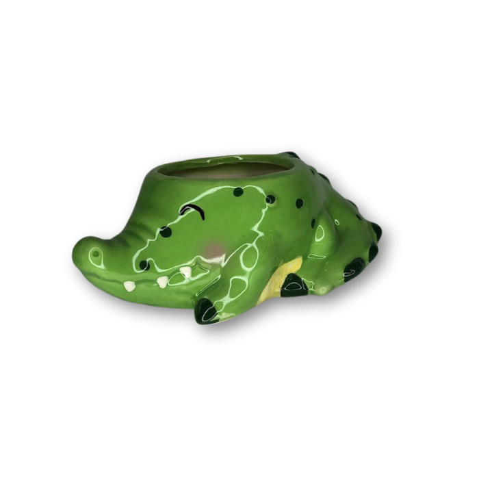 A whimsical alligator-shaped flower pot, perfect for small plants and succulents, featuring a drain hole at the bottom.