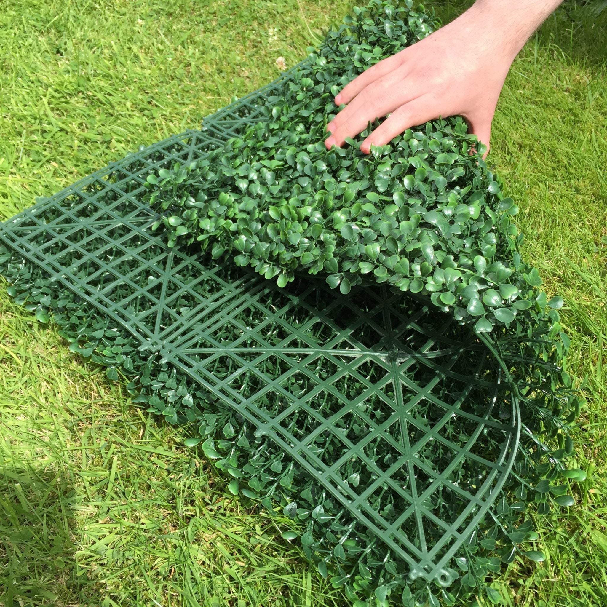 Artificial Boxwood Hedging Panel measuring 50cm x 50cm, featuring vibrant green leaves that replicate the look of live boxwood, ideal for creating realistic hedges.