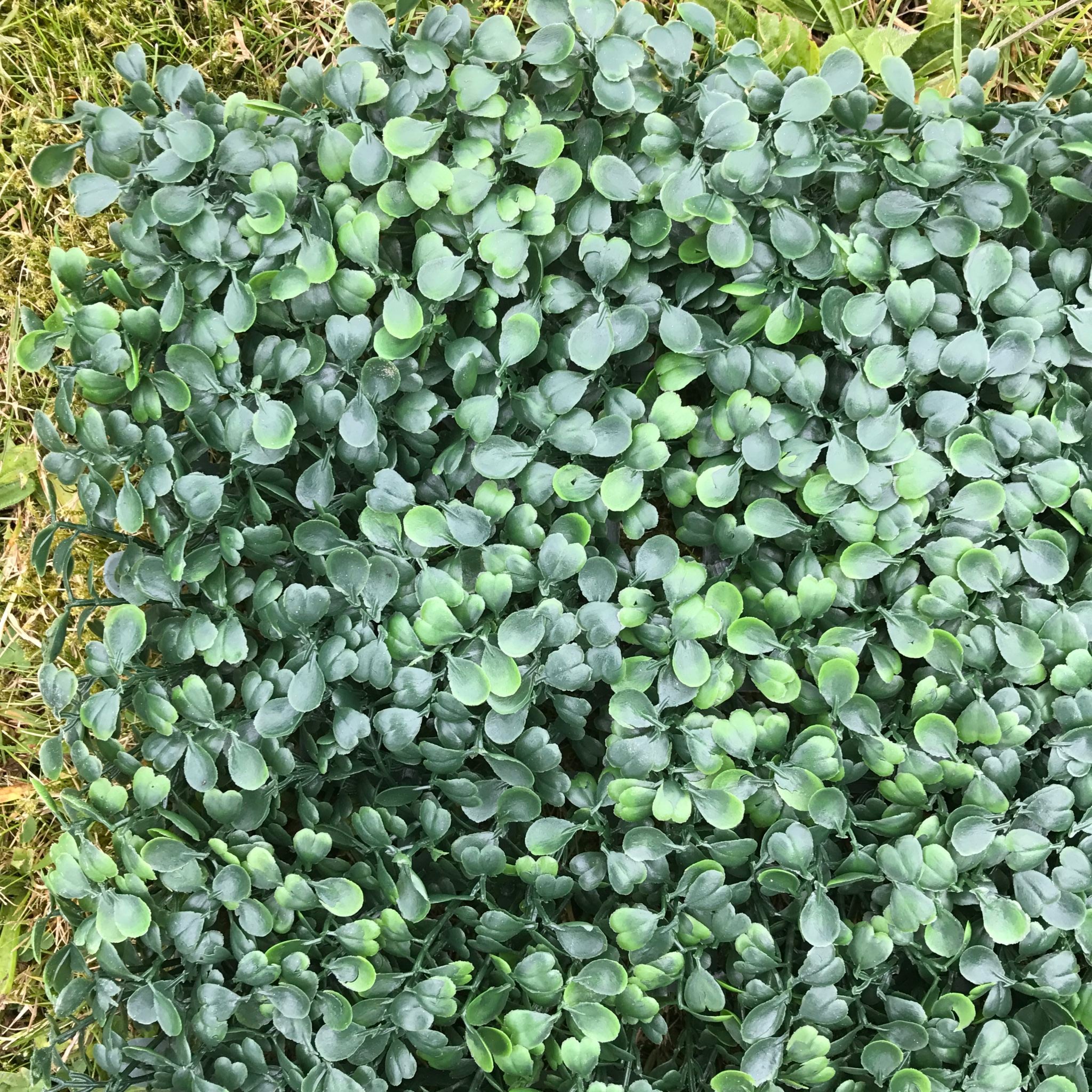 Artificial Flame Resistant Boxwood Hedging Panel, 50x50cm, featuring realistic green leaves and Buxus buds for a natural look.