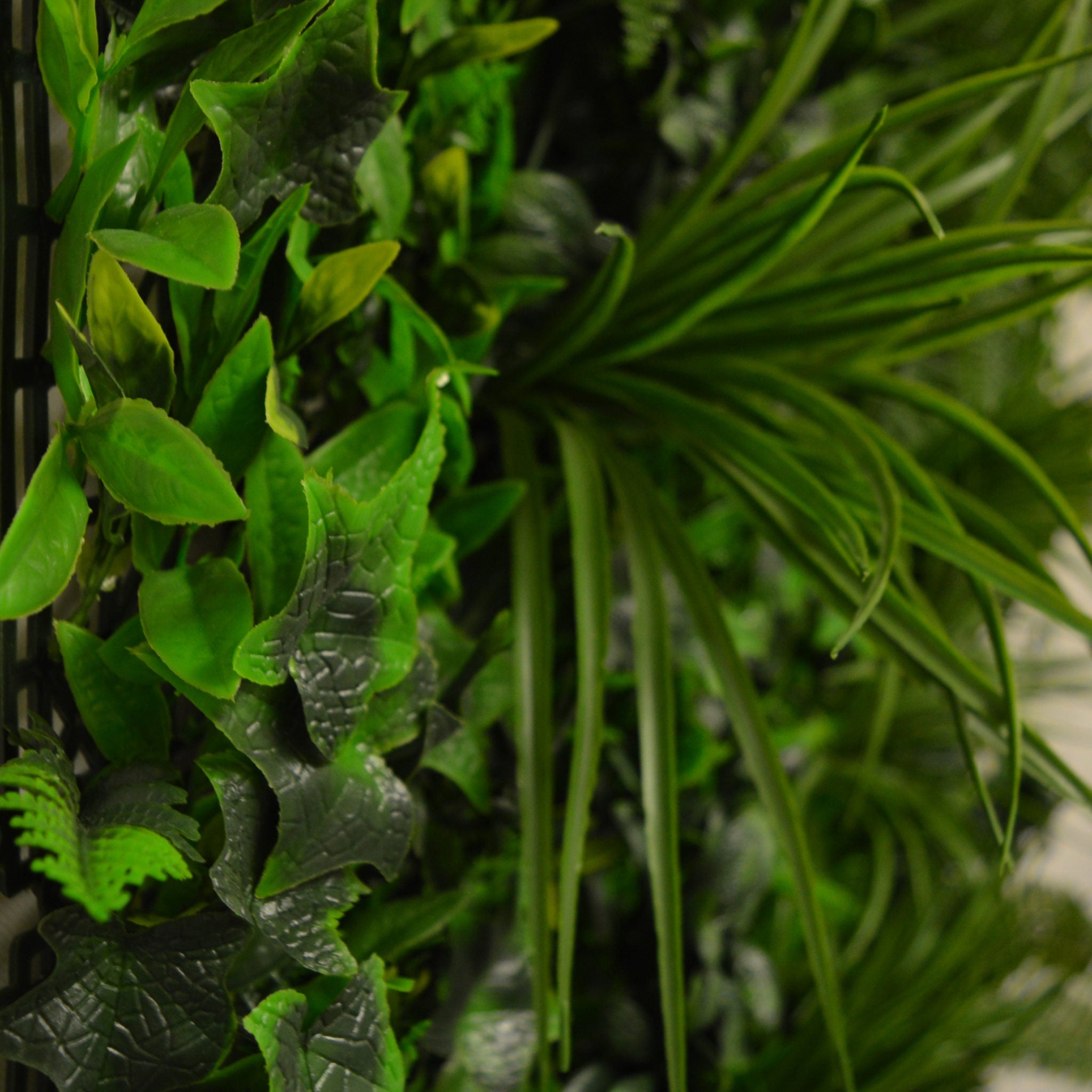 Artificial Instant Green Wall Hedge Panel featuring mixed plants including ferns, ivy leaves, and colorful foliage, measuring 100cm x 100cm.