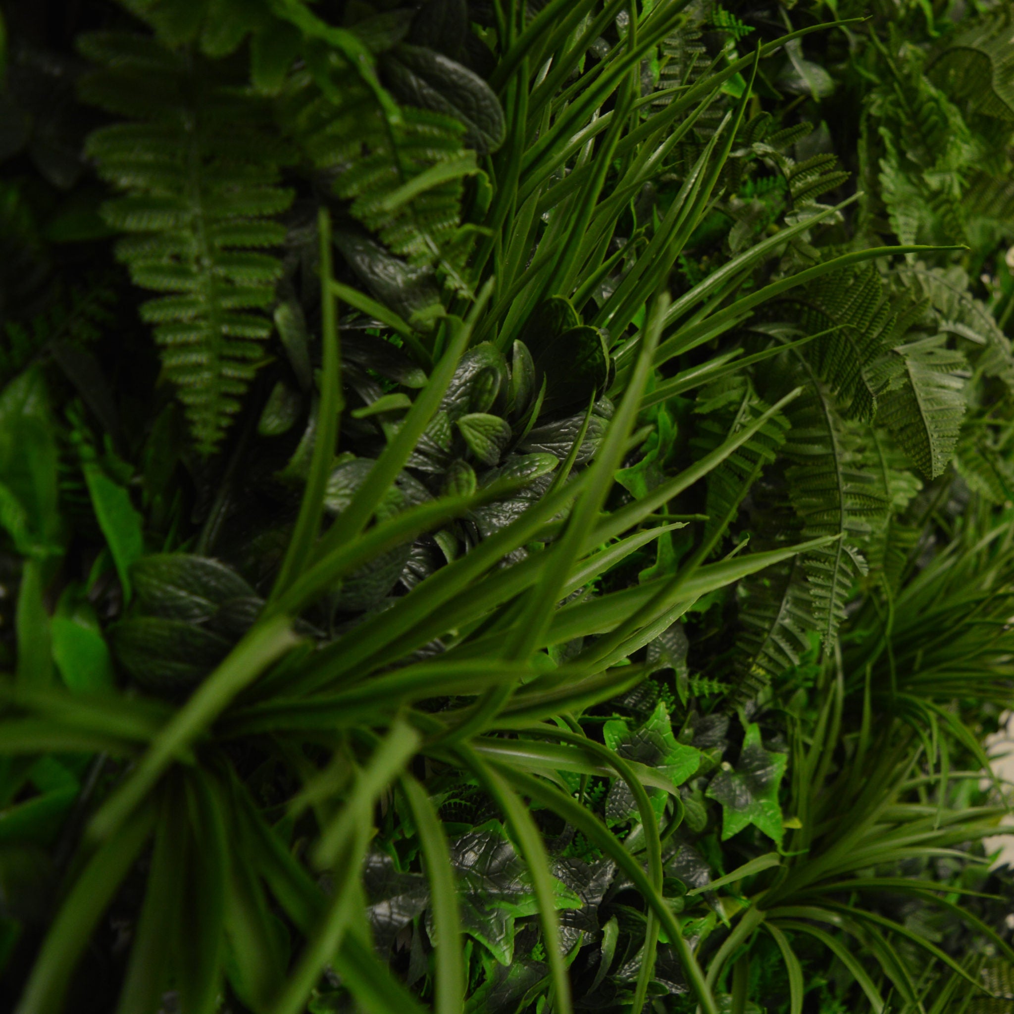 Artificial Instant Green Wall Hedge Panel featuring mixed plants including ferns, ivy leaves, and colorful foliage, measuring 100cm x 100cm.