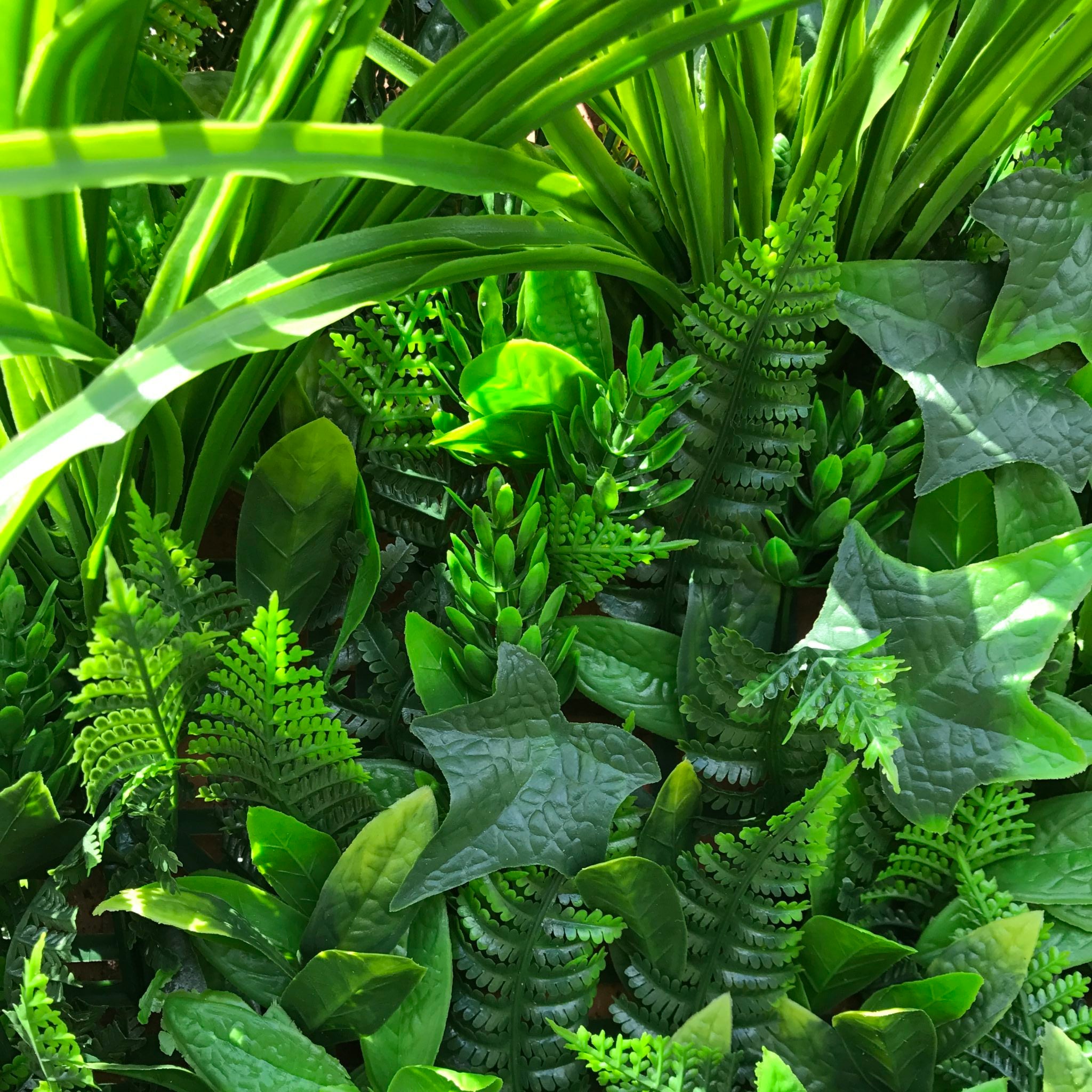 Artificial Instant Green Wall Hedge Panel featuring mixed plants including ferns, ivy leaves, and colorful foliage, measuring 100cm x 100cm.