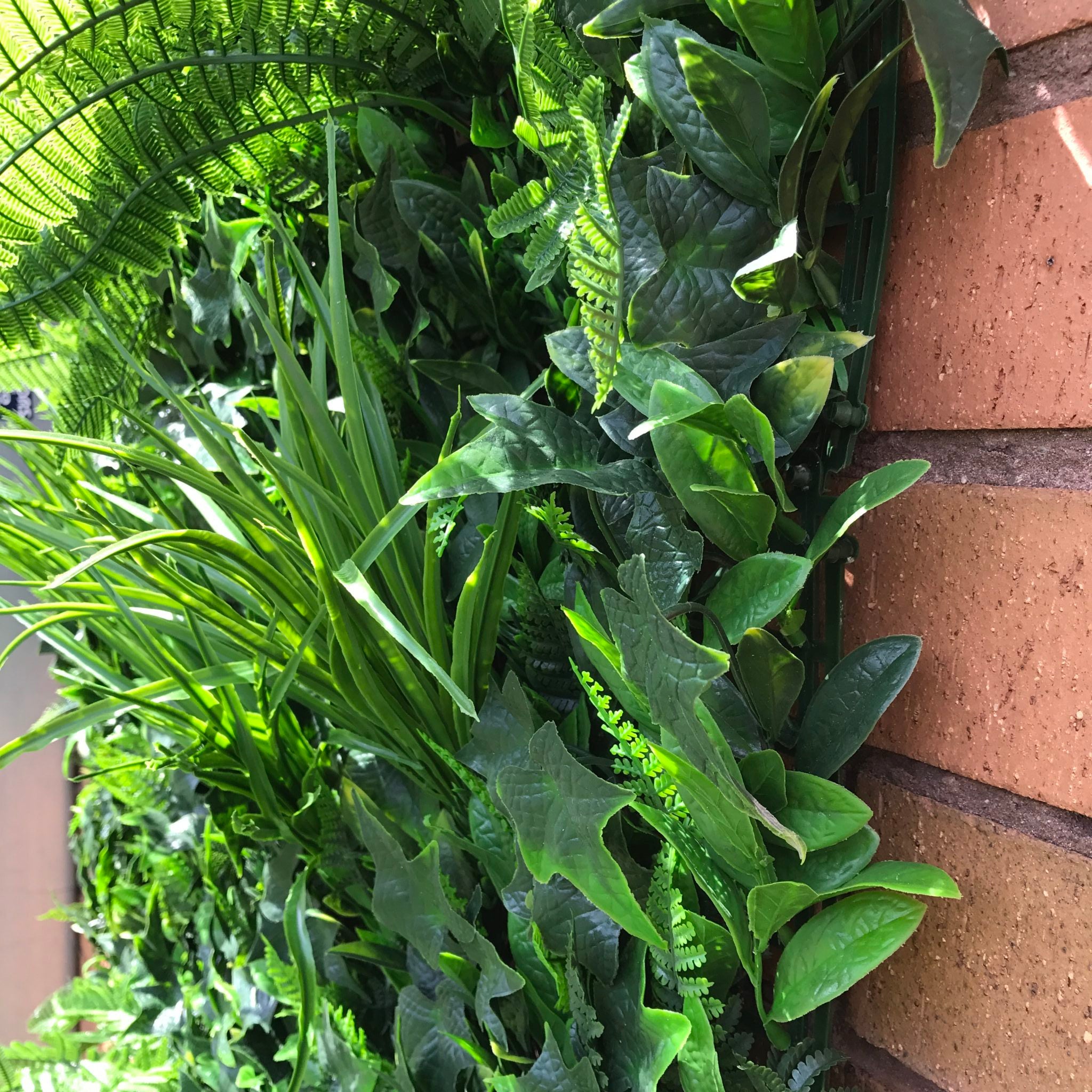 Artificial Instant Green Wall Hedge Panel featuring mixed plants including ferns, ivy leaves, and colorful foliage, measuring 100cm x 100cm.