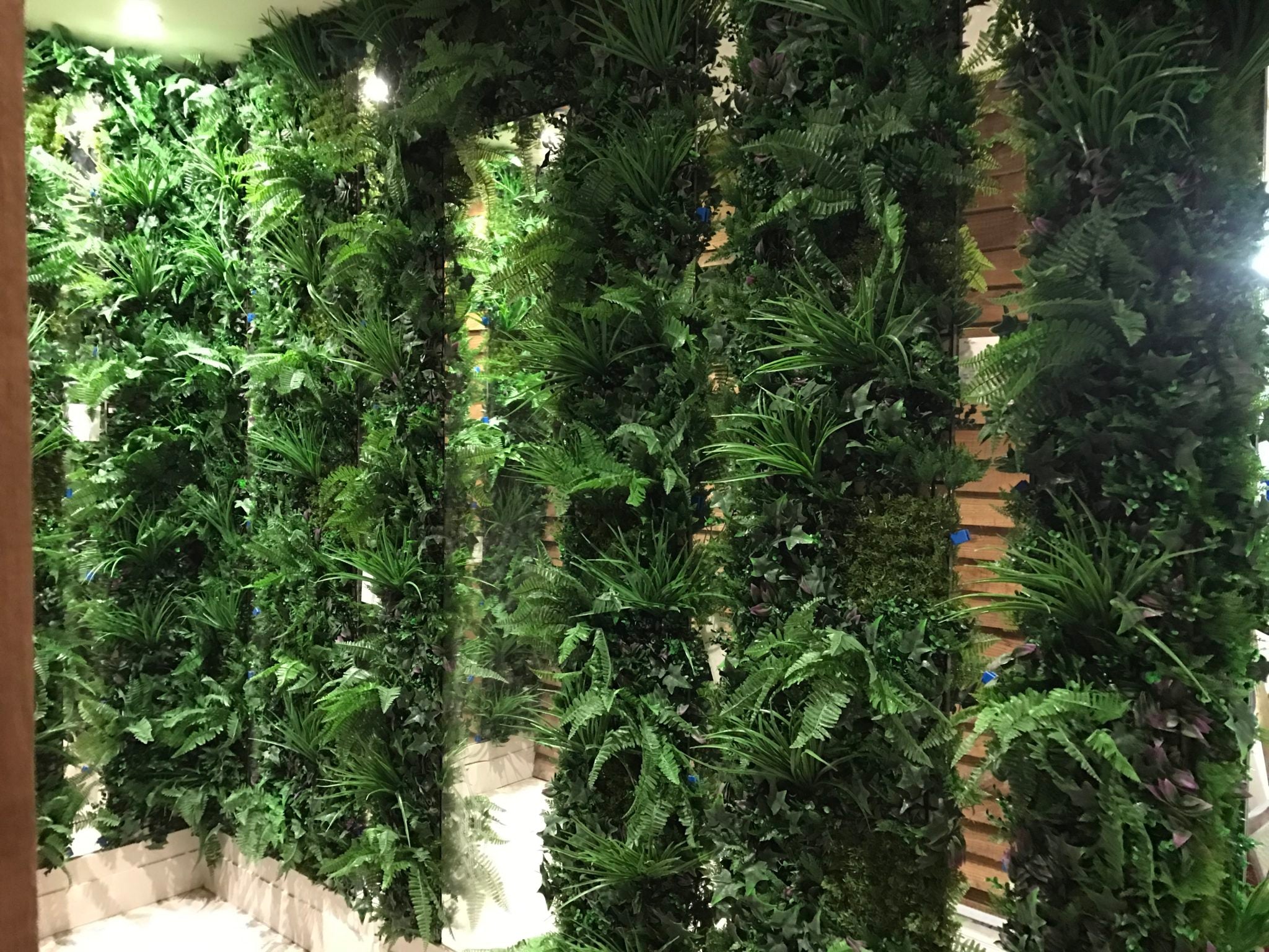 Artificial Instant Green Wall Hedge Panel featuring mixed plants including ferns, ivy leaves, and colorful foliage, measuring 100cm x 100cm.
