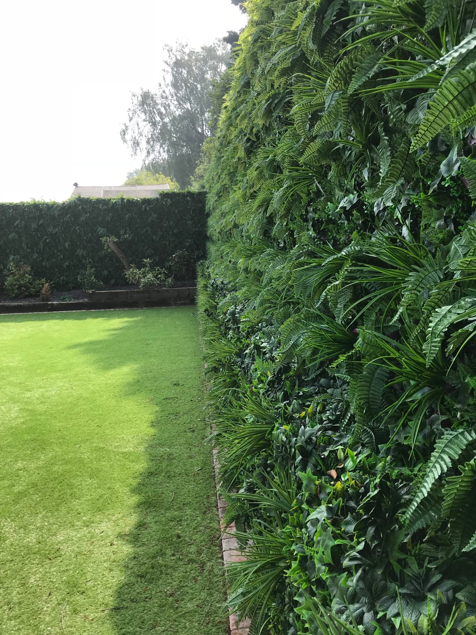 Artificial Instant Green Wall Hedge Panel featuring mixed plants including ferns, ivy leaves, and colorful foliage, measuring 100cm x 100cm.