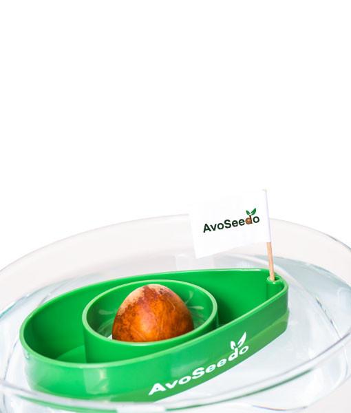 AvoSeedo 3-Pack featuring colorful plastic bowls designed for avocado seed germination, showcasing the unique indentation for seed placement.