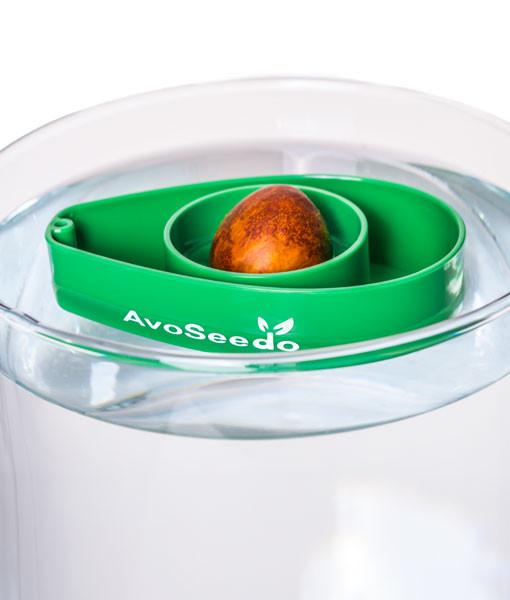 AvoSeedo 3-Pack featuring colorful plastic bowls designed for avocado seed germination, showcasing the unique indentation for seed placement.