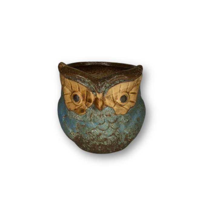 Blue Owl Flower Pot Style 3 featuring a charming owl design, perfect for small plants with a drain hole.