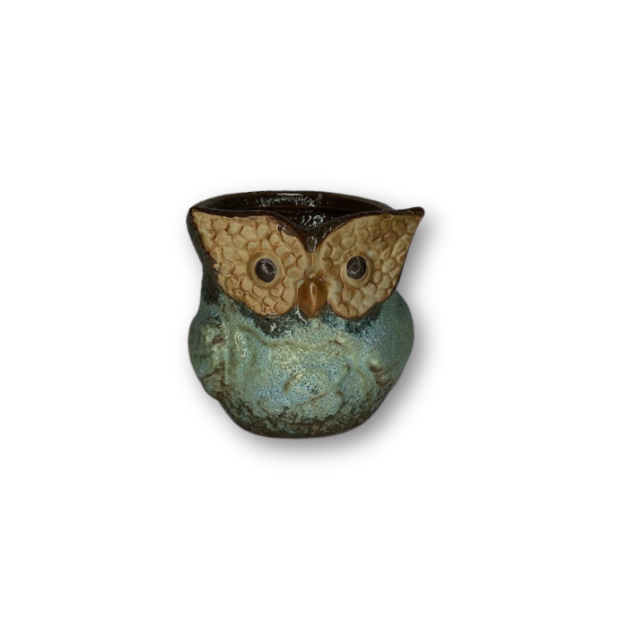 Blue Owl Flower Pot Style 5 featuring a whimsical owl design, perfect for small indoor plants with a drain hole.