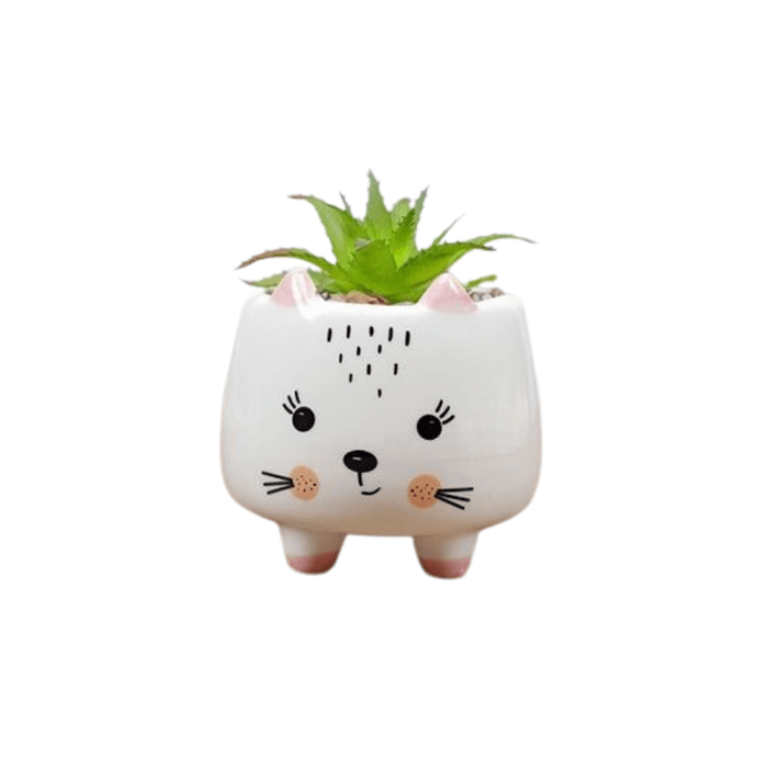 Ceramic Round Kitty Cat Succulent Plant Pot with a smooth glazed finish and a cute cracked design, perfect for indoor plants.