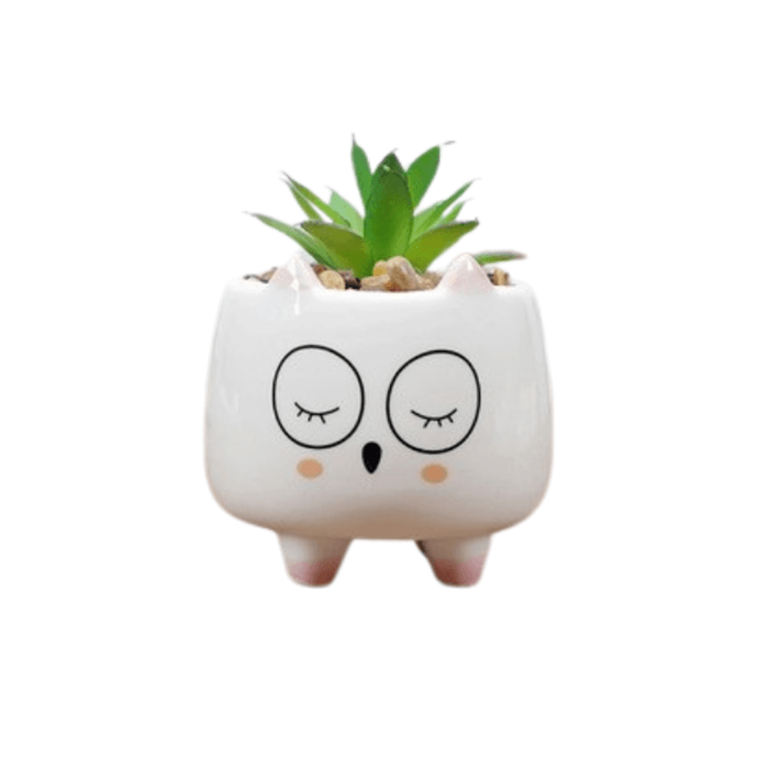 Ceramic Round Kitty Cat Succulent Plant Pot with a smooth glazed finish and drainage hole, perfect for indoor succulent display.